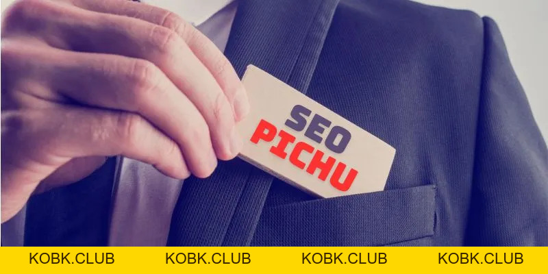 SEO PICHU – Hành Trình Xây Dựng Thương Hiệu Miso88 Bền Vững - kobk.club