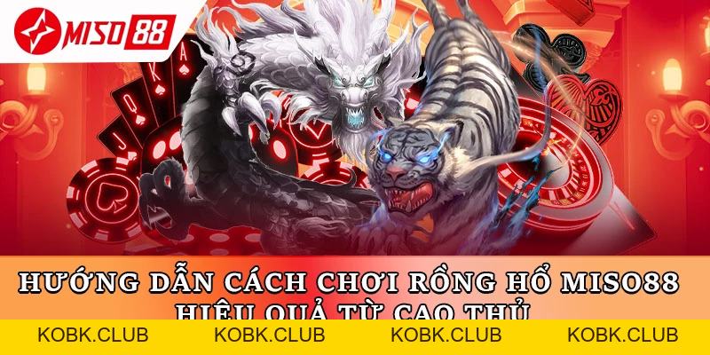 Hướng Dẫn Cách Chơi Rồng Hổ Miso88 Hiệu Quả Từ Cao Thủ - kobk.club