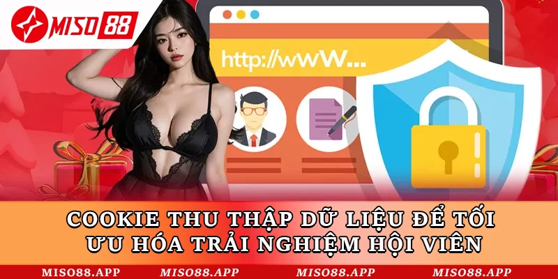 Chính Sách Bảo Mật Miso88 Phiên Bản Mới Nhất Năm 2026 - kobk.club