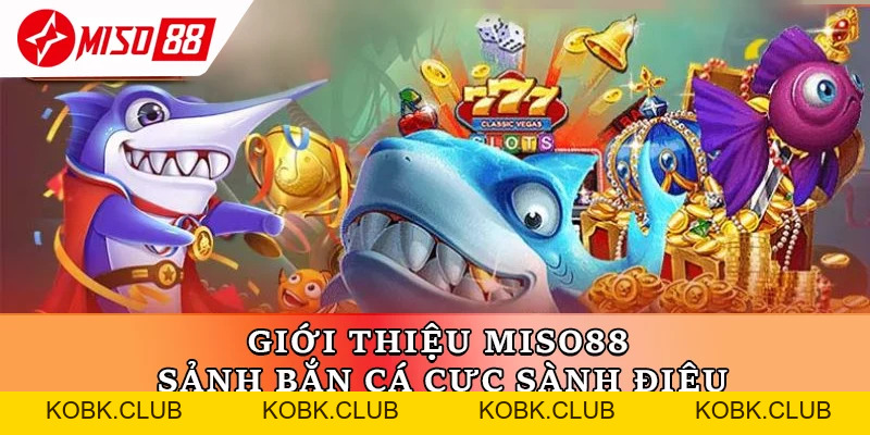 Giới Thiệu Miso88 – Nền Tảng Cá Cược Trực Tuyến Đẳng Cấp - kobk.club