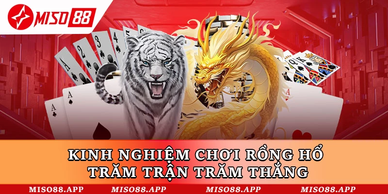 Hướng Dẫn Cách Chơi Rồng Hổ Miso88 Hiệu Quả Từ Cao Thủ - kobk.club