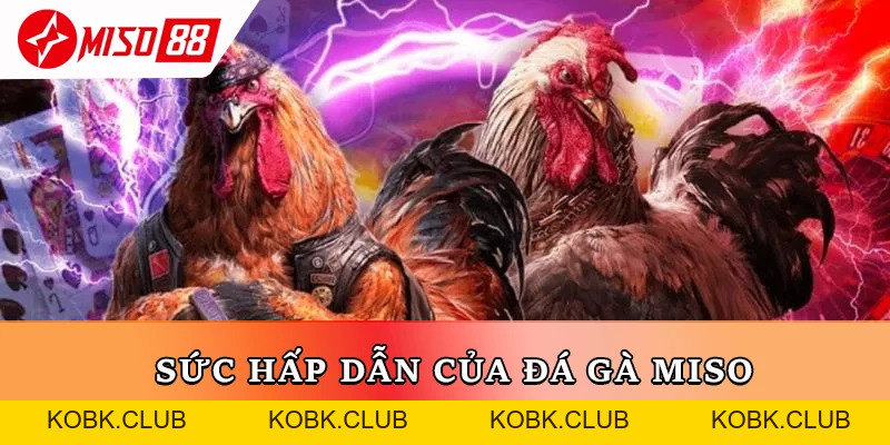Đá Gà Miso88 – Đấu Trường Trực Tuyến Đẳng Cấp Cho Dân Sư Kê - kobk.club