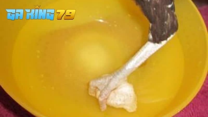 Gà Bị Ké Chậu - Cách Điều Trị Hiệu Quả Và Các Biện Pháp Phòng Ngừa - kobk.club