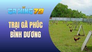 Blog Đá Gà - Chia Sẻ Kinh Nghiệm Và Kiến Thức Đá Gà Đúng Chuẩn - kobk.club