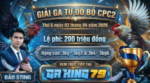 Tin Tức Thomo - Cập Nhật Thông Tin, Sự Kiện Mới Nhất Tại Các Bồ Gà - kobk.club