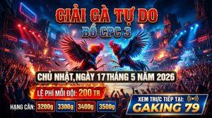 Tin Tức Thomo - Cập Nhật Thông Tin, Sự Kiện Mới Nhất Tại Các Bồ Gà - kobk.club