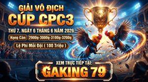 Tin Tức Thomo - Cập Nhật Thông Tin, Sự Kiện Mới Nhất Tại Các Bồ Gà - kobk.club