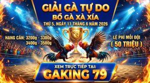 Tin Tức Thomo - Cập Nhật Thông Tin, Sự Kiện Mới Nhất Tại Các Bồ Gà - kobk.club