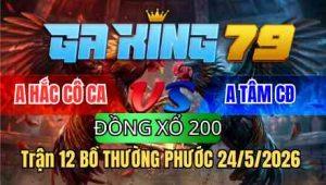 Bồ Thường Phước - kobk.club