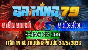 Bồ Thường Phước - kobk.club