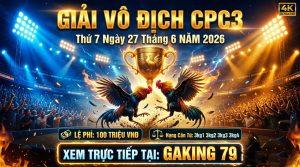 Tin Tức Thomo - Cập Nhật Thông Tin, Sự Kiện Mới Nhất Tại Các Bồ Gà - kobk.club