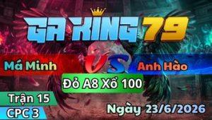 Xem Lại Video Đá Gà CPC3 Mới Nhất Hàng Ngày - kobk.club