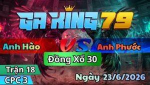 Xem Lại Video Đá Gà CPC3 Mới Nhất Hàng Ngày - kobk.club