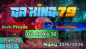 Xem Lại Video Đá Gà CPC3 Mới Nhất Hàng Ngày - kobk.club