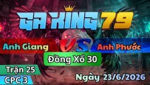 Xem Lại Video Đá Gà CPC3 Mới Nhất Hàng Ngày - kobk.club