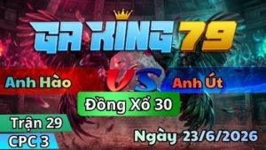 Xem Lại Video Đá Gà CPC3 Mới Nhất Hàng Ngày - kobk.club
