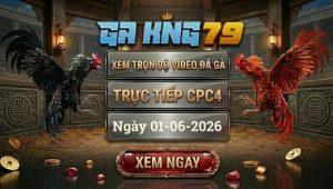 Video Đá Gà CPC4 - Tổng Hợp Các Trận Đá Gà Hay Nhất Tại Bồ Gà C4 - kobk.club