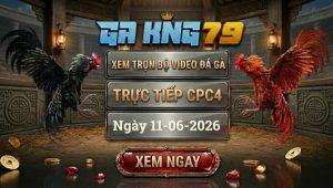Video Đá Gà CPC4 - Tổng Hợp Các Trận Đá Gà Hay Nhất Tại Bồ Gà C4 - kobk.club