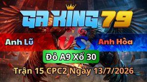 Hot Thomo - Tổng Hợp Các Trận Đá Gà Hay Nhất Hàng Ngày - kobk.club