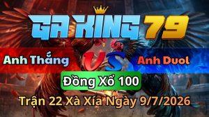 Video Đá Gà Xà Xía – Xem Lại Các Trận Đá Gà Tại Bồ Gà Xà Xía Hà Tiên - kobk.club