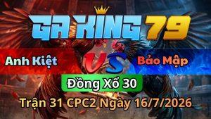 Xem Lại Video Đá Gà CPC2 - Cập Nhật Mới Nhất - kobk.club