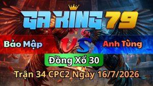 Xem Lại Video Đá Gà CPC2 - Cập Nhật Mới Nhất - kobk.club