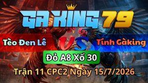 Hot Thomo - Tổng Hợp Các Trận Đá Gà Hay Nhất Hàng Ngày - kobk.club